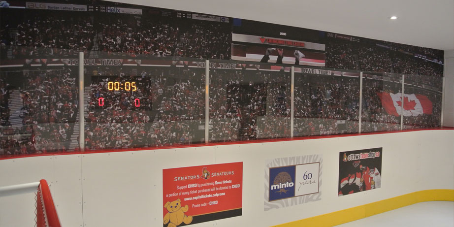 synthetic ice panels