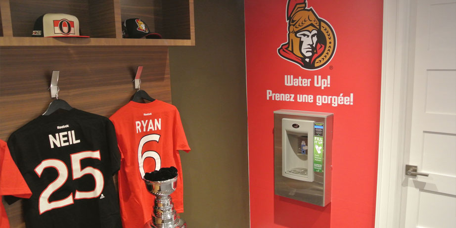 ottawa senators synthetic ice