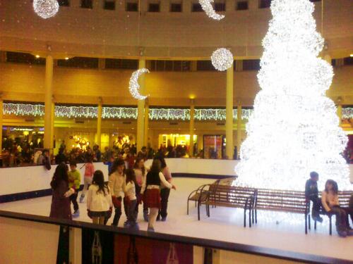 Holiday Synthetic Ice Event