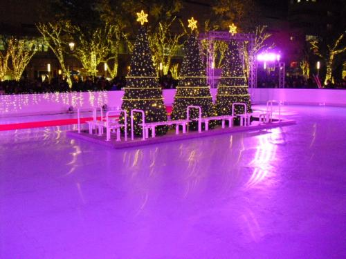 Holiday Ice Event