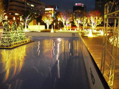 Holiday Ice Event