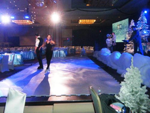 professional ice skating show on SmartRink