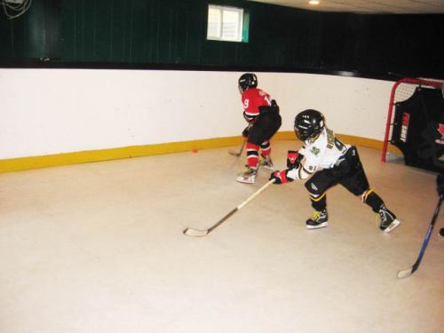 home synthetic ice rink in PEI