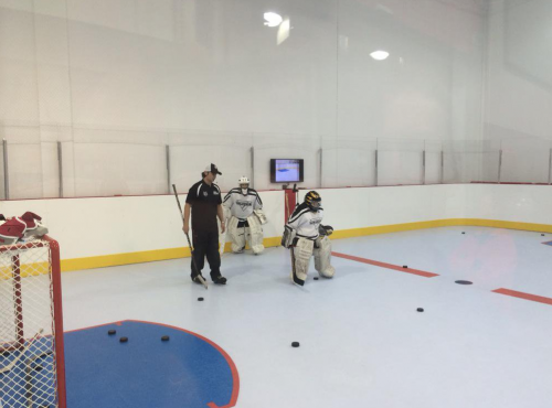 Synthetic Ice Goalie Training