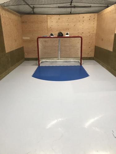 ProFast-8 SmartRink synthetic ice goalie training