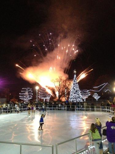 Community Rink Celebration