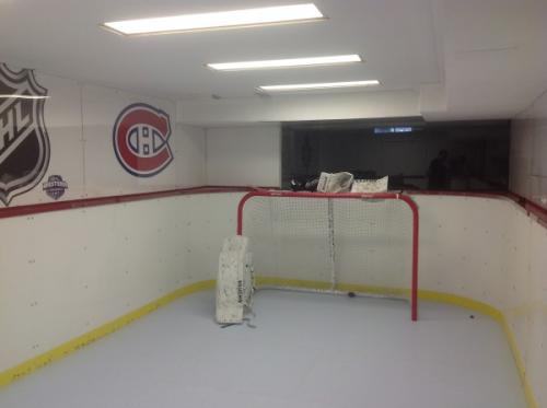 indoor home synthetic ice rink