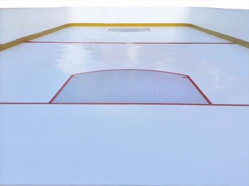 NHL Style Community Rink