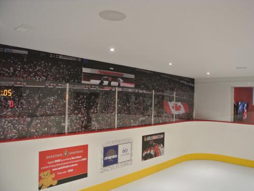 basement synthetic hockey rink